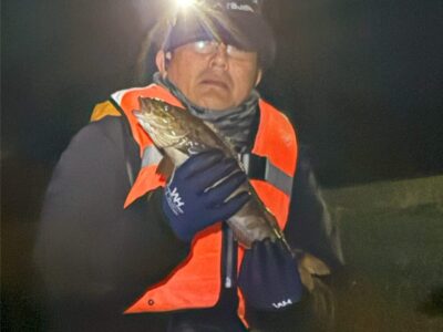 ２０２５年第２回例会 瀬棚港～久遠漁港 ５月１１日